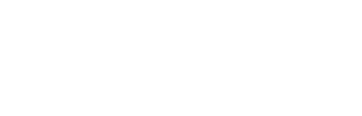 Noaptea Albă a Galeriilor logo